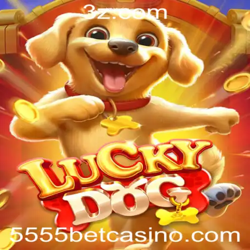 5555 bet Casino App